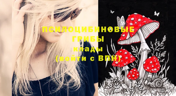 дживик Новозыбков