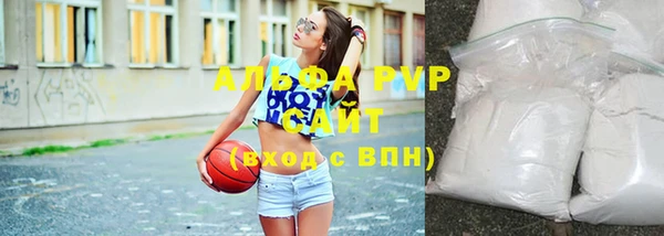 дживик Новозыбков