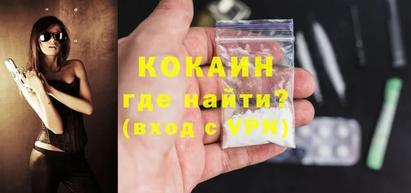дживик Новозыбков