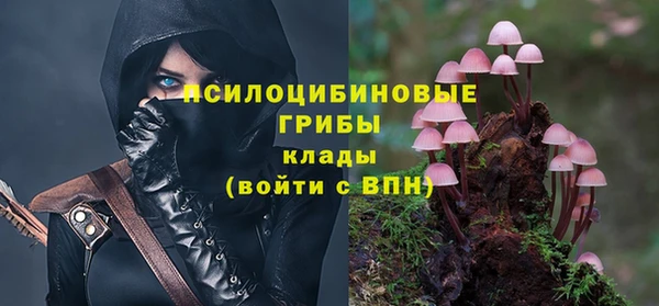 таблы Новокубанск