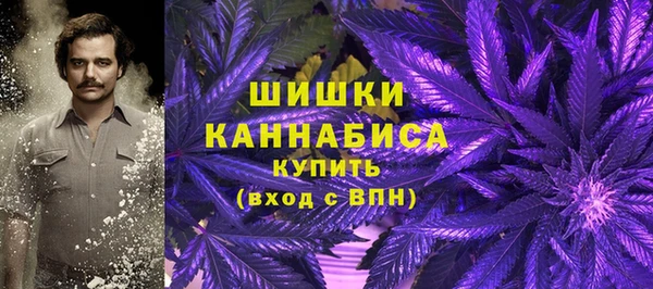 a pvp Няндома