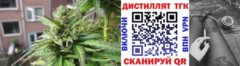 блэк спрут как войти  Шагонар  Дистиллят ТГК жижа  закладка 