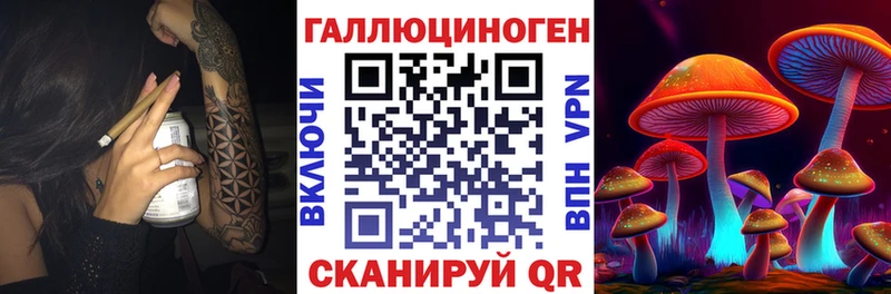 Галлюциногенные грибы Psilocybine cubensis Шагонар